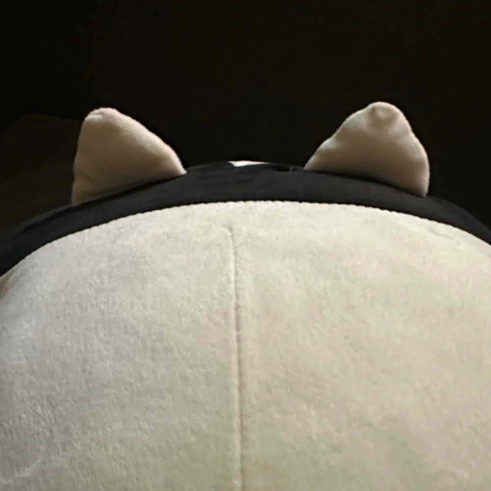 Black and White Cat Plush Pillow